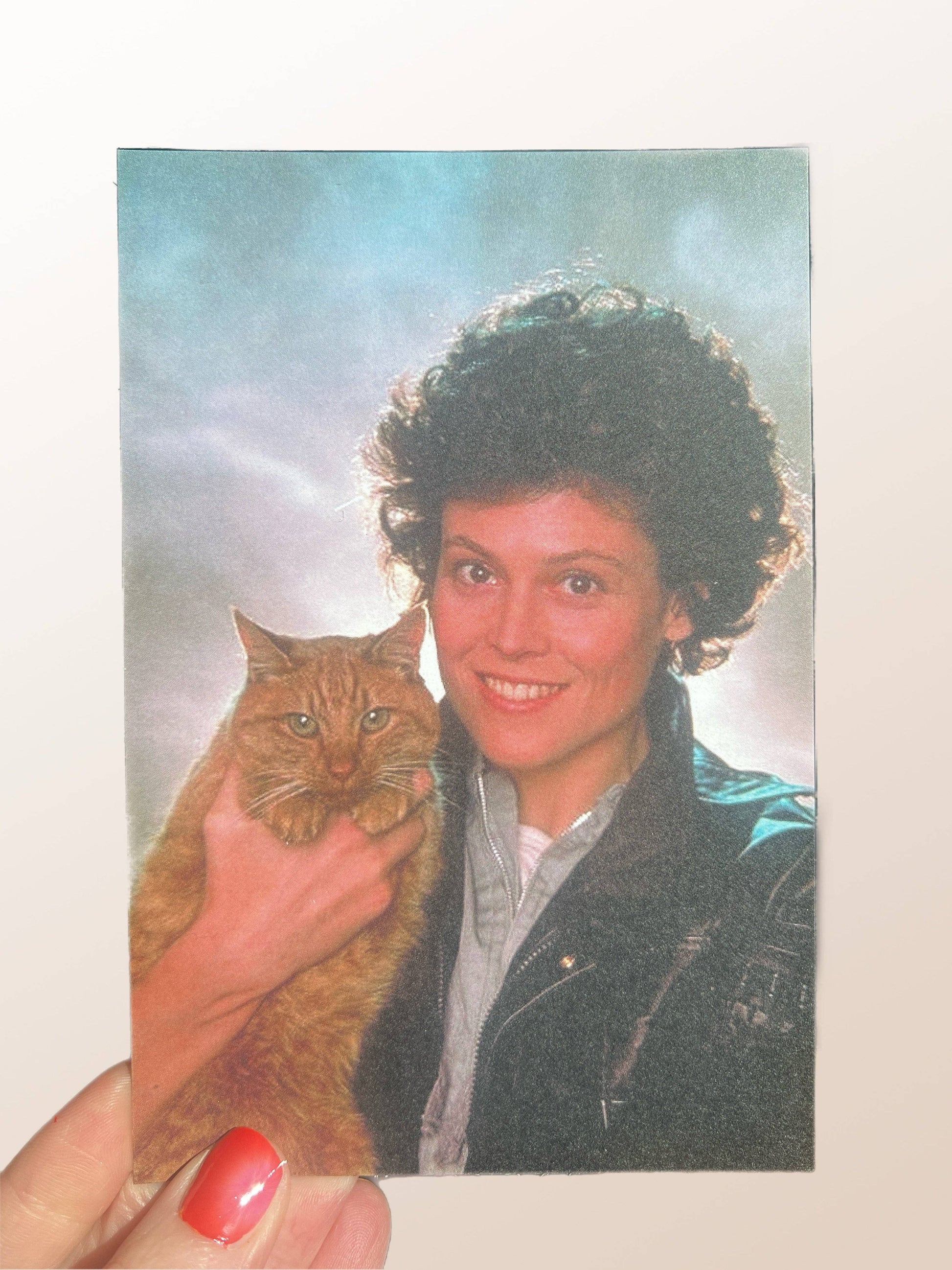 Person holding a cat with a colorful, gradient background