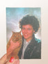 Person holding a cat with a colorful, gradient background