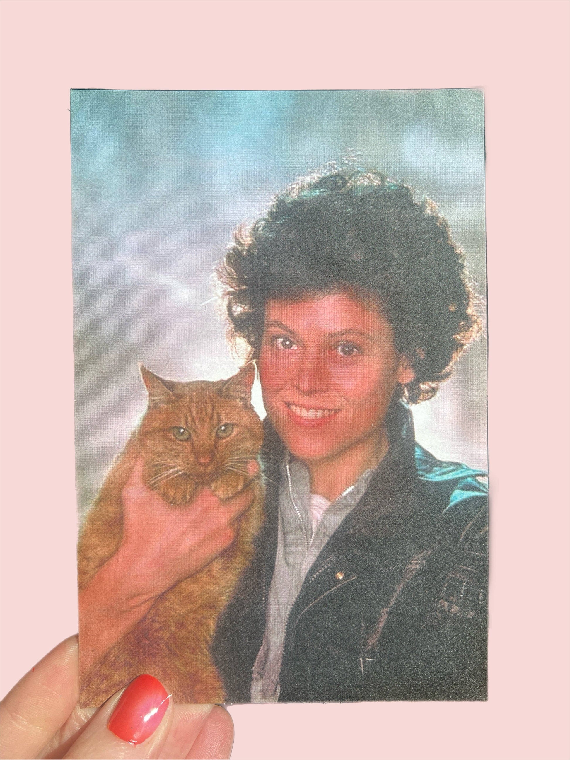 Person holding a cat on a pink background