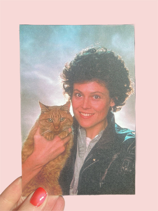 Person holding a cat on a pink background