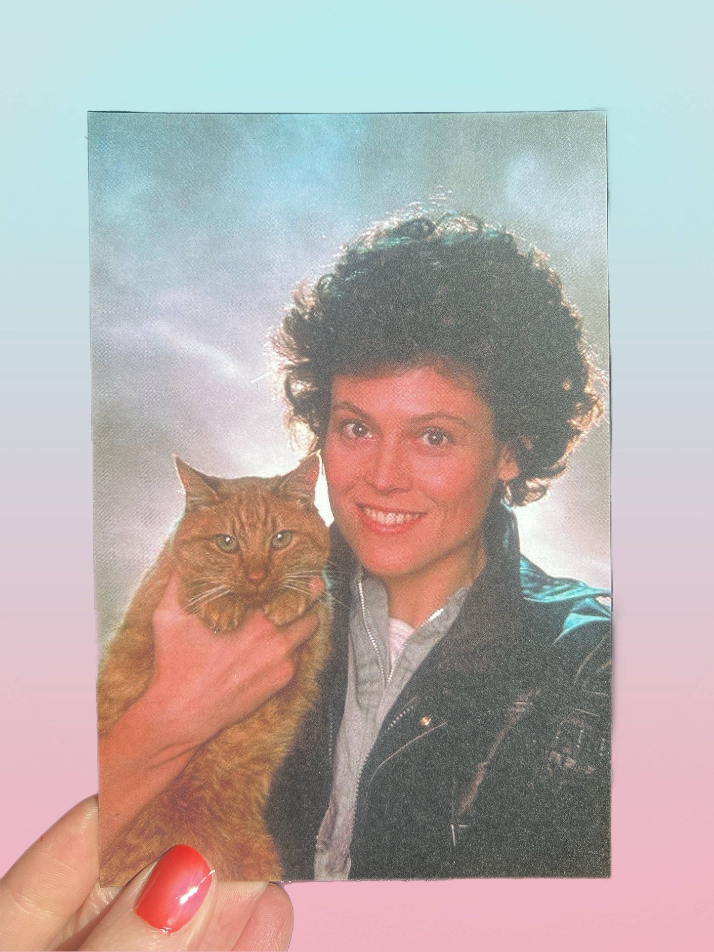 Person holding a cat with a pastel gradient background
