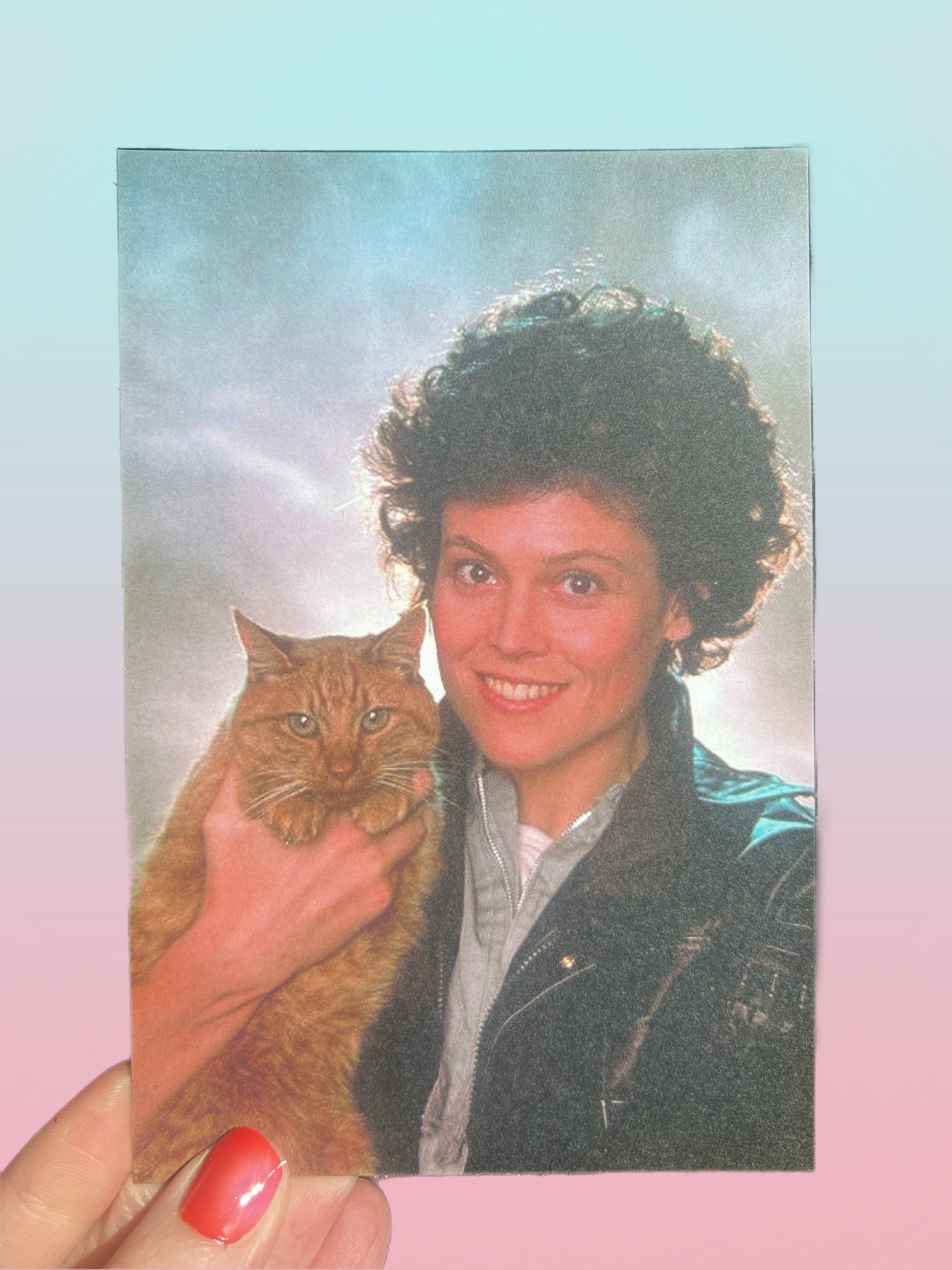 Person holding a cat with a pastel gradient background