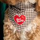 Dog wearing a checkered bandana with a heart-shaped 'Best Buddy' tag.