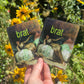 Two stickers  labeled 'brat' held in front of a natural background with flowers.