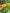 Hand holding a colorful magnet on t he side with a cartoon character against a blurred green outdoor background