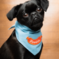Black dog wearing a blue bandana with 'Foodie' on a wooden background