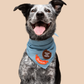 Dog wearing a blue bandana with text on a beige background