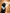 Dog wearing a blue bandana with text on a beige background