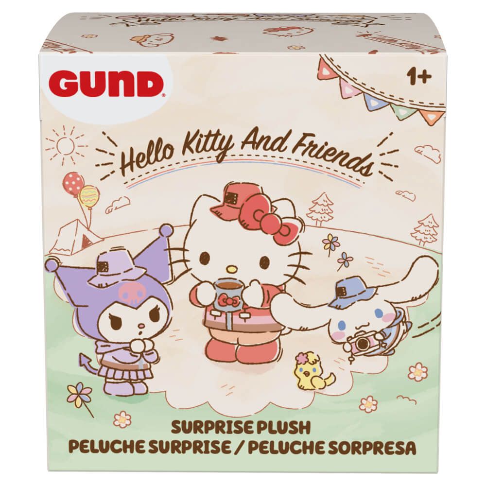 Box of the hello kitty and friends design