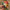Sticker with colorful design of a person with a bird on their head and text 'It's only forever not long at all' held against a natural background.