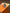 Pigeon glitter sticker on an orange surface