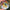 Sticker with 'Self Care Bear' design held by a hand against a blurred natural background