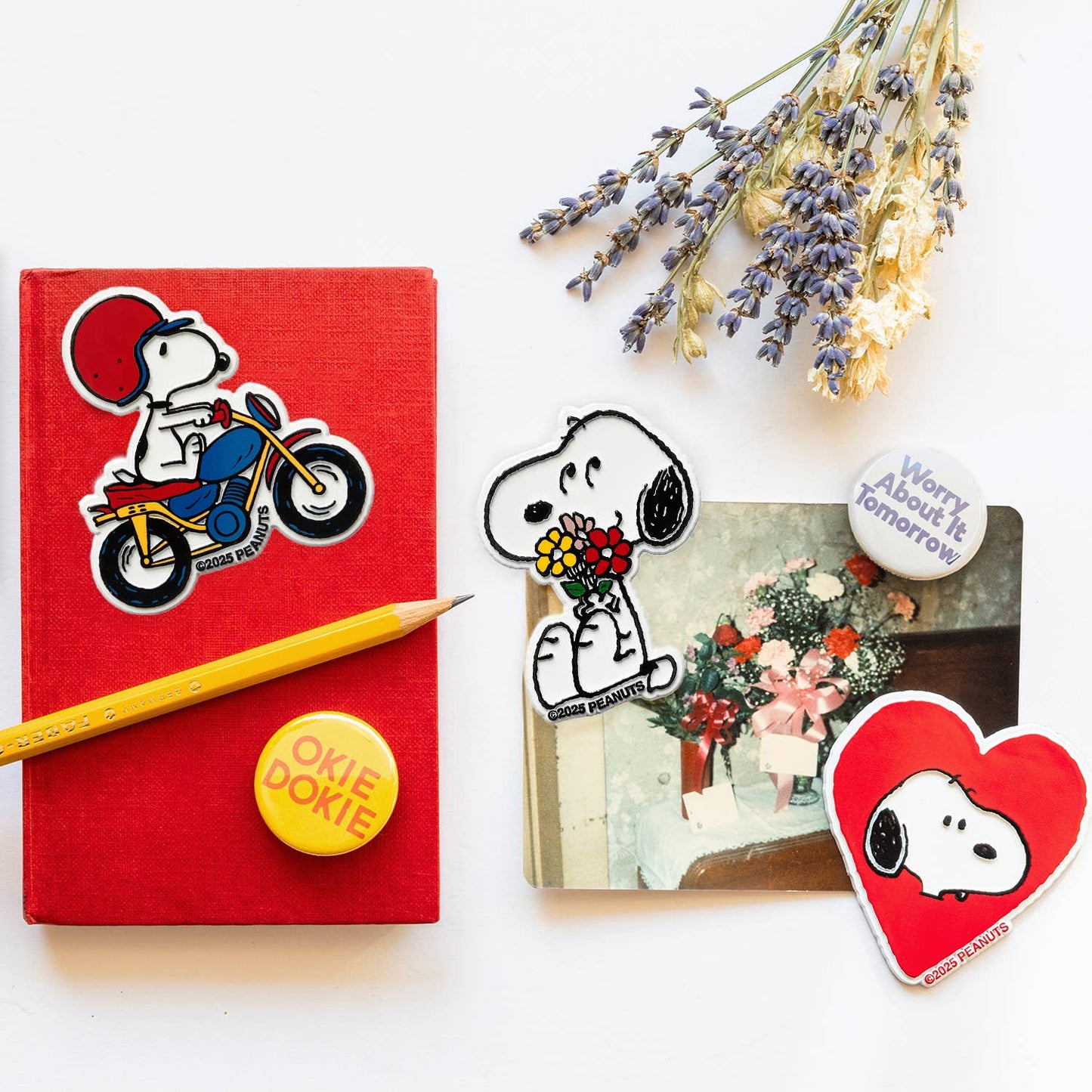 Red notebook with Snoopy magnets on a white background