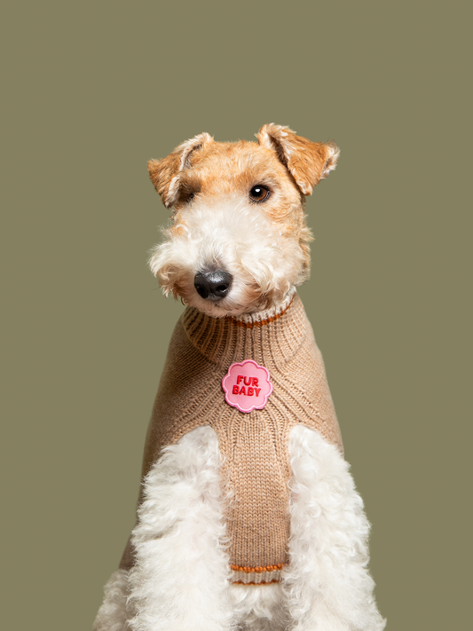 Fur Baby iron-on patch for dogs and cats